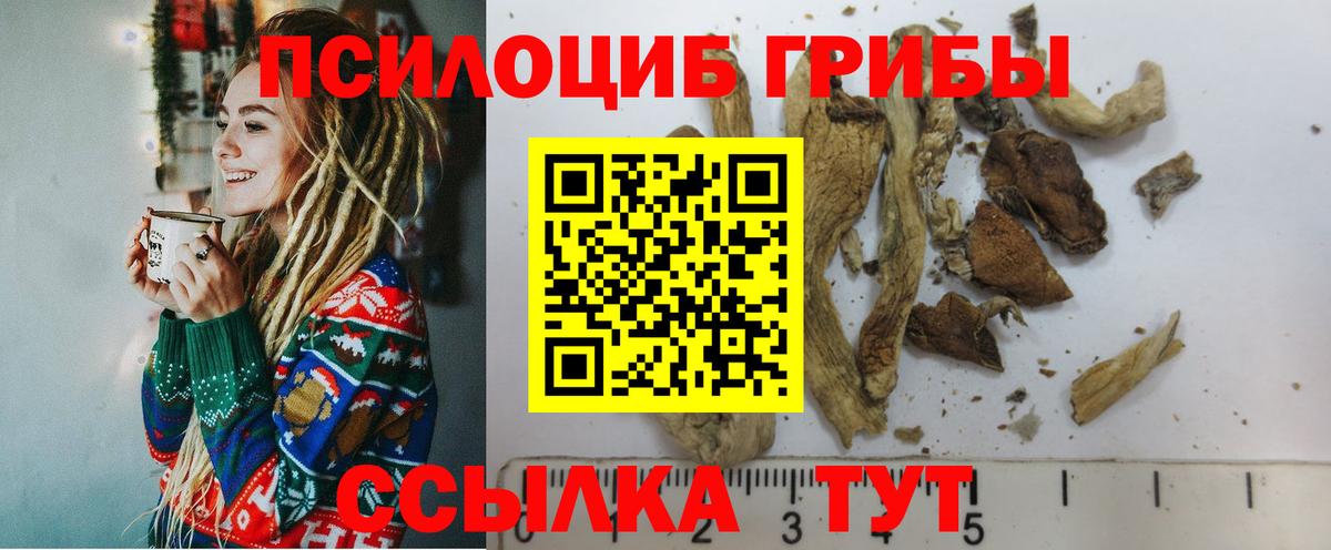Искитим  Галлюциногенные грибы Psilocybe  Вход с VPN 