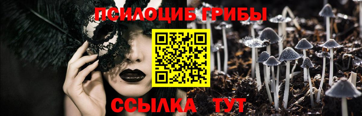 Псилоцибиновые грибы Cubensis Искитим